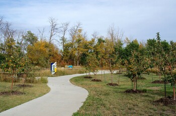 community orchard with trail running through it
