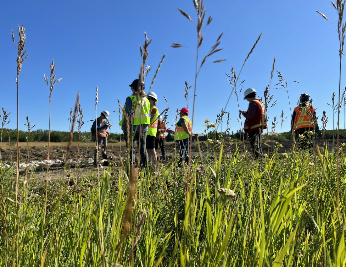 Constructed Wetlands and Wetland Reestablishment: Uncas, Strathcona County