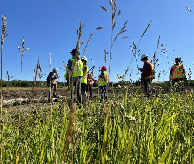 Constructed Wetlands and Wetland Reestablishment: Uncas, Strathcona County